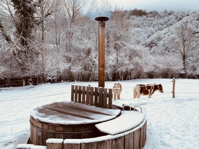 Chalet Le Fario, Bain Nordique Frechet-Aure Bagian luar foto